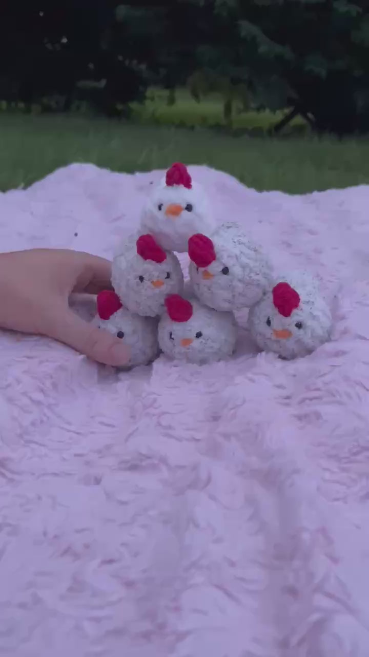 Pip the Pocket Chicken