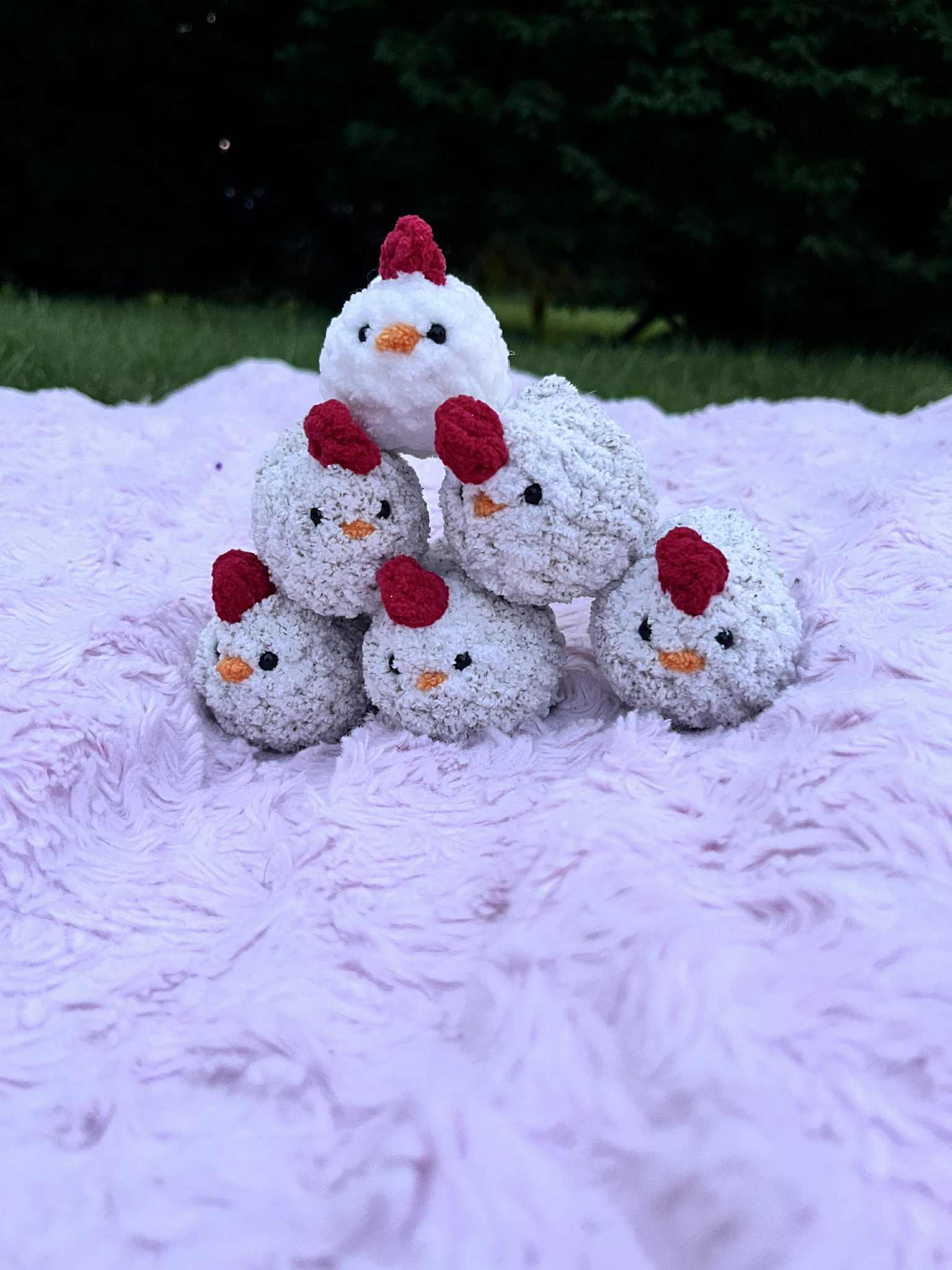 Pip the Pocket Chicken