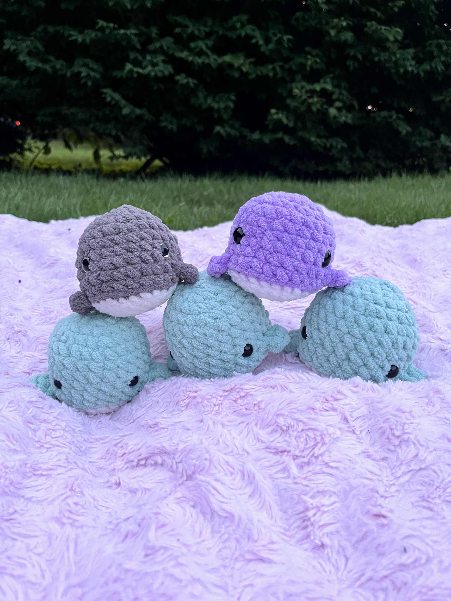 Baby Whale