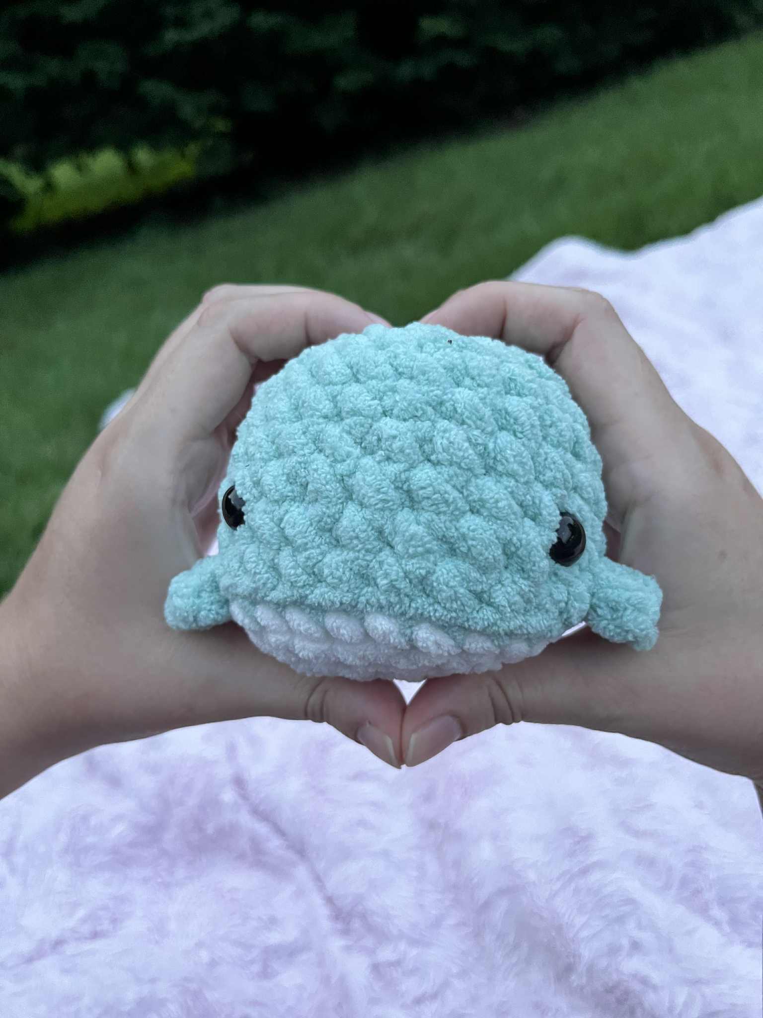 Baby Whale