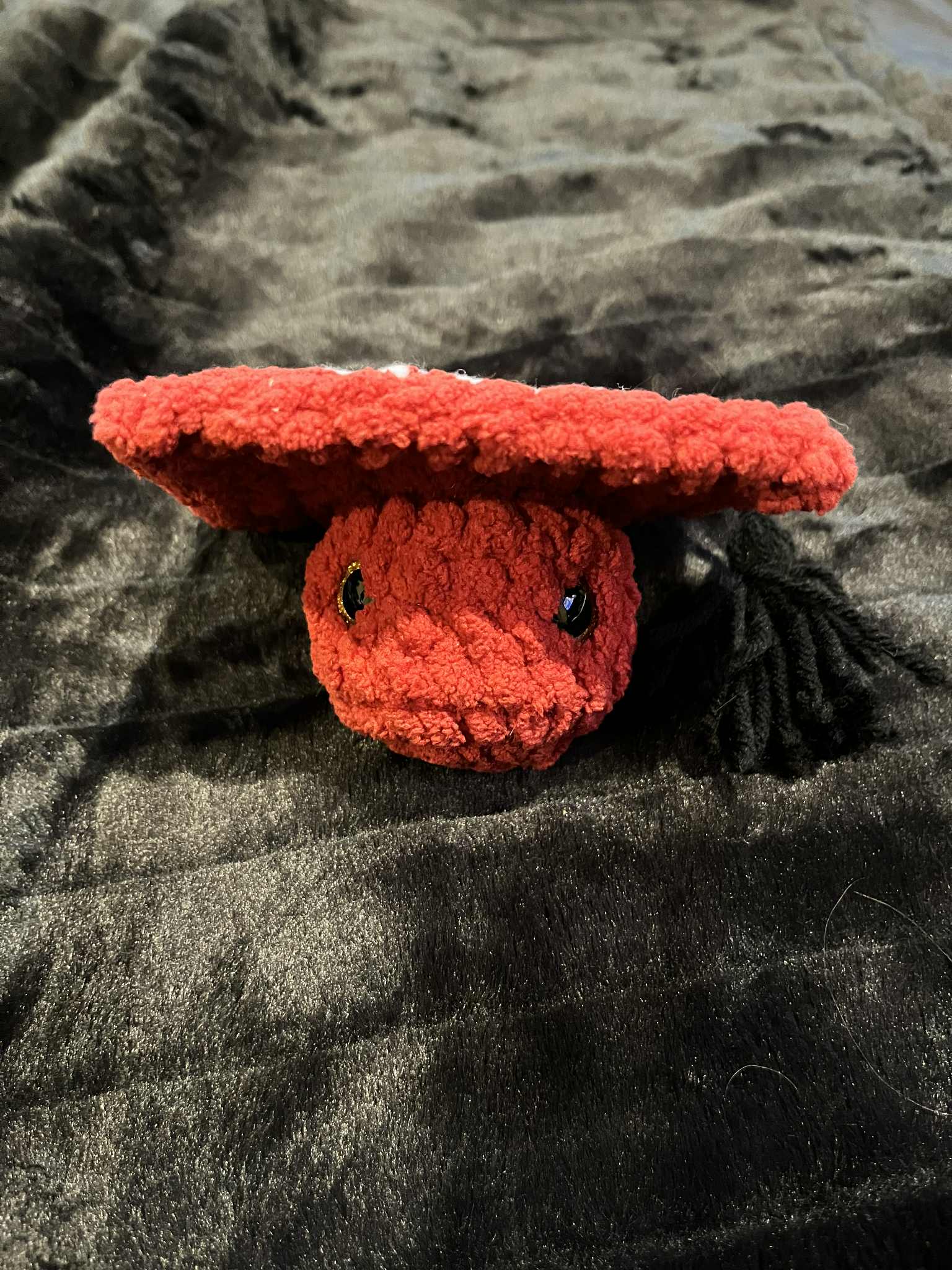 Customized Graduation Cap Plush