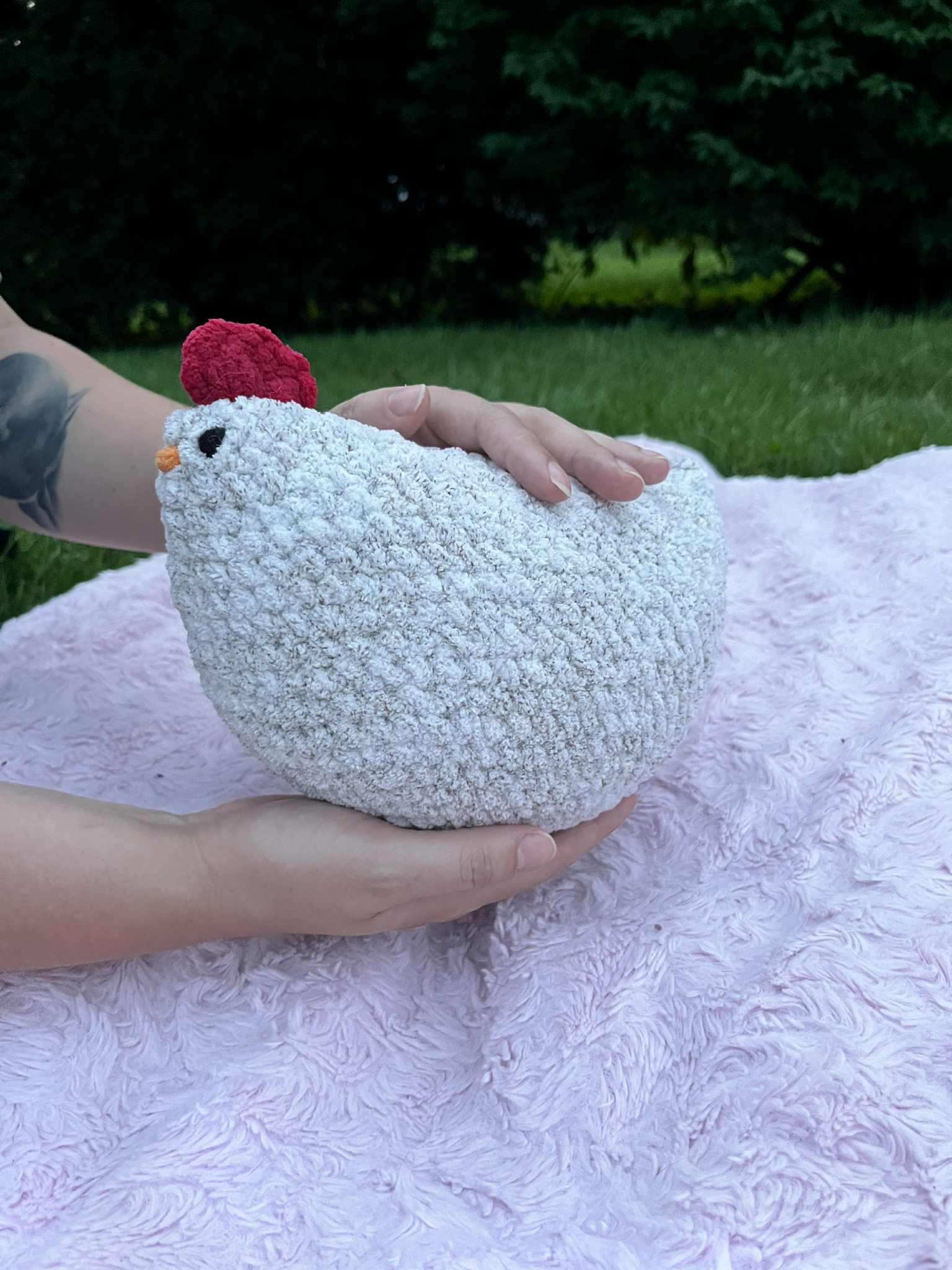 Pepper the chubby Chicken